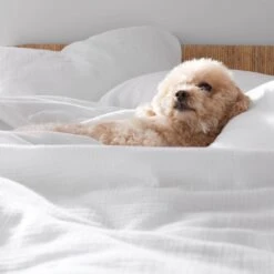 Pryor Organic Cotton Quilt -Online Bedding Store 50762 pryor y22 lifestyle new