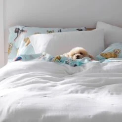 Pryor Organic Cotton Quilt -Online Bedding Store 50927 beachdogs lifestyle add2
