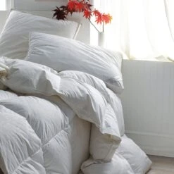 Cotton Sateen Gusseted Pillow Protector -Online Bedding Store c2g3 blacklabel r19