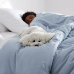 Company Cotton™ Rayon Made From Bamboo Sateen Comforter -Online Bedding Store c2y7 comforter bamboo h21 mistyblue lifestyle