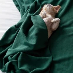 Cotton Weave Blanket 11 Cotton Weave Blanket -Online Bedding Store ko33 cottonweave lifestyle add3