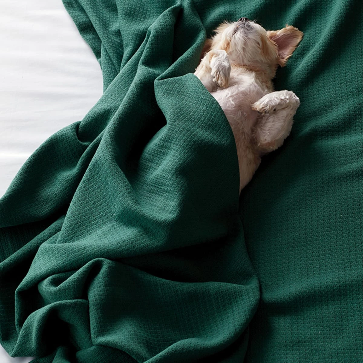 Cotton Weave Blanket 7 Cotton Weave Blanket - Image 5